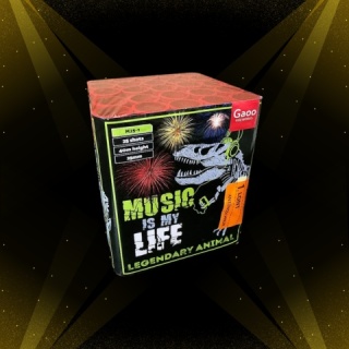 MUSIC IS MY LIFE M25-1 25s 25mm4