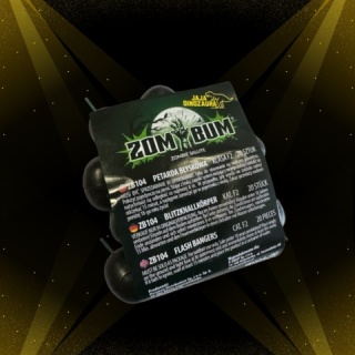 Zom Bum Jaja Dinozaura ZB104 F2